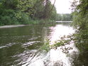 Mezi Blešnem a Svinary je Orlice už poměrně slušná řeka.