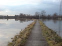 Zkratka pro pěší a cyklisty mezi Týništěm a Štěpánovskem není takovým stavem vody nikterak ohrožena.