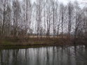 Zimní pohled z levého břehu Orlice na srdce poloslepého ramene Přítrž, zvané Tylův palouk, asi nejstrašidelnější místo v povodí spojené Orlice.